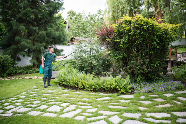 Wasp Removal Services in Hardin, MT