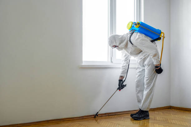 Best Bed Bug Extermination  in Hardin, MT