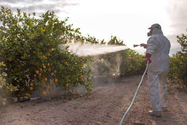 Best Residential Pest Control  in Hardin, MT