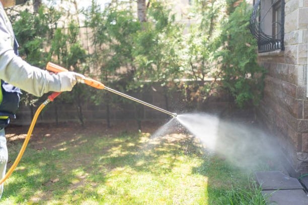Best Termite Control Services  in Hardin, MT