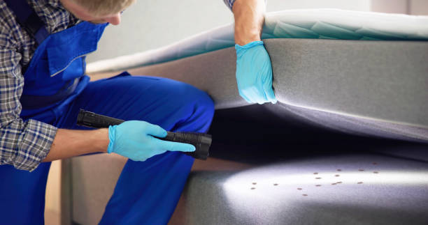 Pest Prevention Services in Hardin, MT
