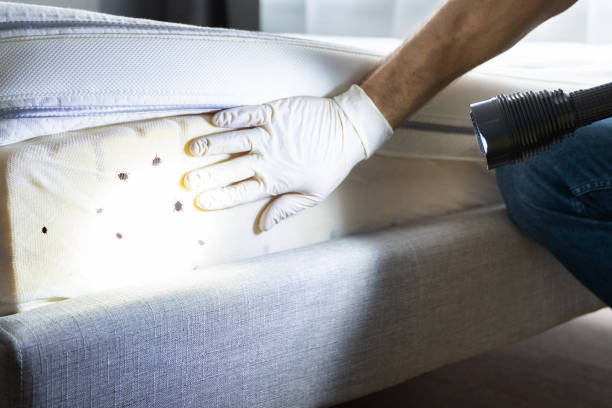 Pest Prevention Services in Hardin, MT