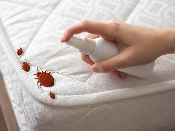 Best Commercial Pest Control Services  in Hardin, MT