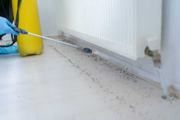 Best Pest Prevention Services  in Hardin, MT