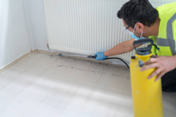 Best Wasp Removal Services  in Hardin, MT