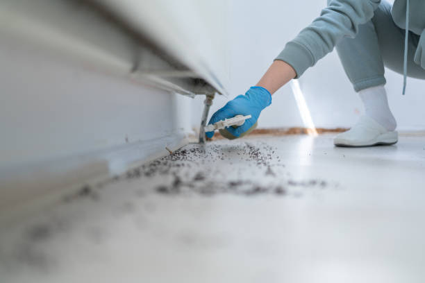 Best Affordable Exterminators  in Hardin, MT